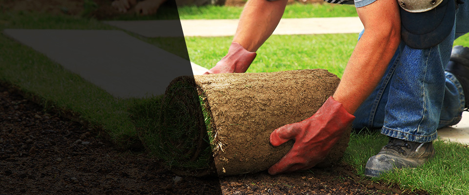 Pennock Landscapers